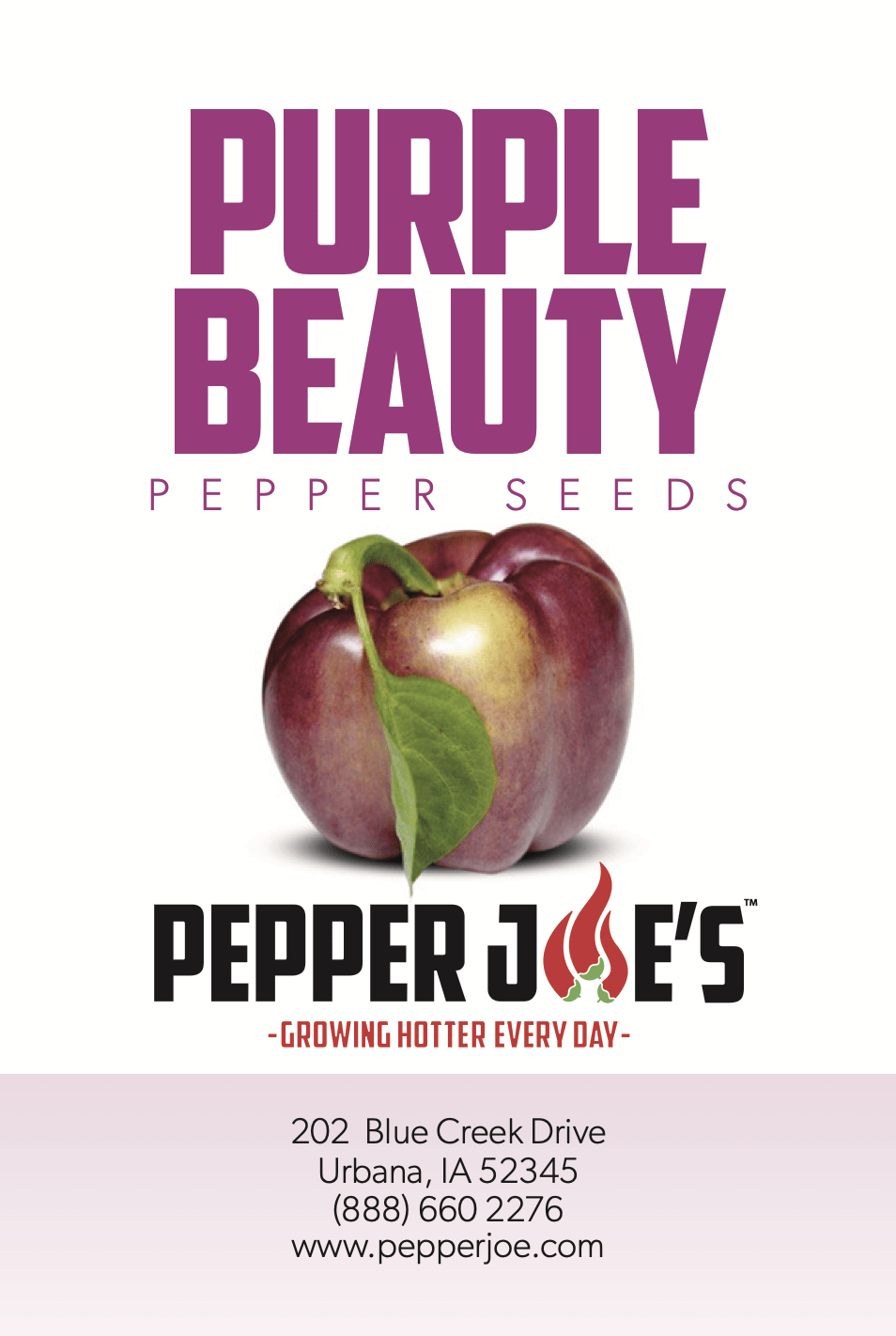 Purple Beauty bell pepper seeds