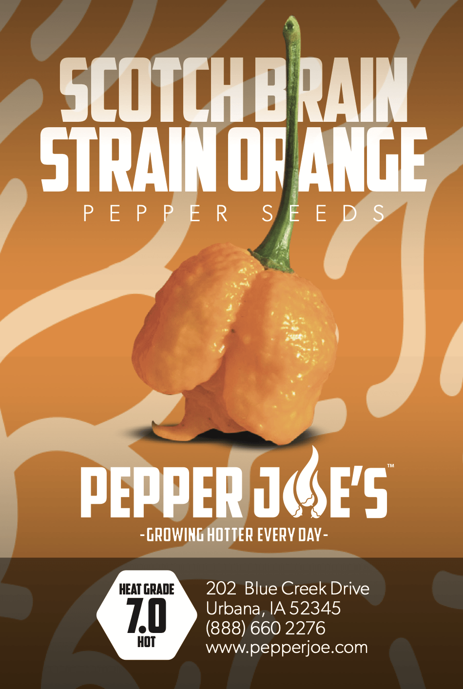 Scotch Brain Strain Orange Pepper Seeds Superhot