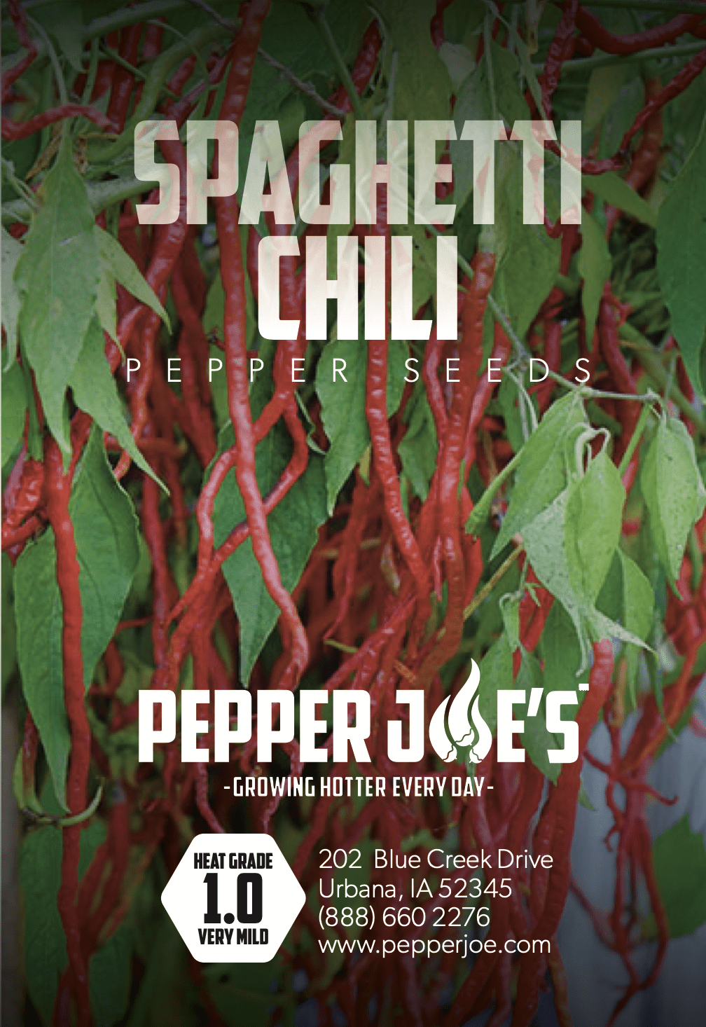 Spaghetti Chili Pepper Seeds Pepper Joe’s