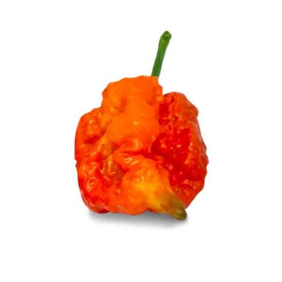 Skunk Red Pepper Seeds – Pepper Joe’s