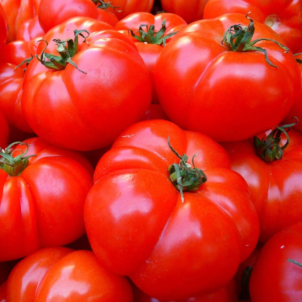Red Brandywine Tomato Seeds – Pepper Joe's