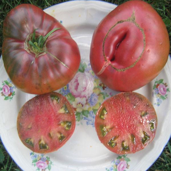 Vorlon Tomato - Pepper Joe's