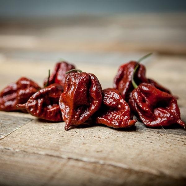 Kraken Scorpion pepper on hardwood Floor