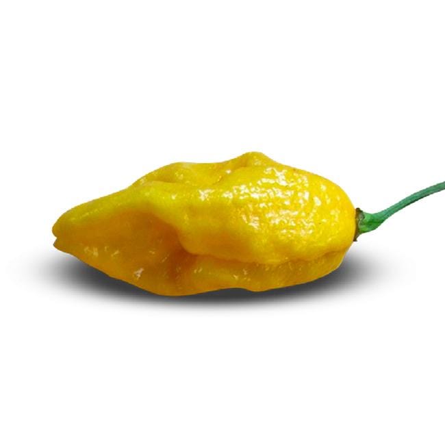 Pepper Joe's devils tongue yellow seeds - yellow devil's tongue pepper on white background