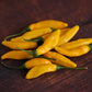 Pepper Joe's yellow lemon drop peppers piled on wood table used to represent seeds for sale