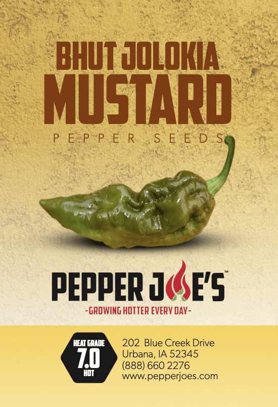 Pepper Joe's Mustard Bhut Jolokia chili seeds - Mustard Ghost chili seeds - pepper on white background