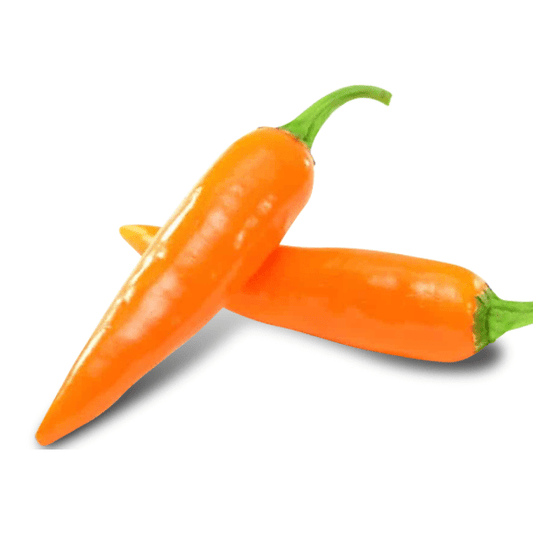 bulgarian carrot pepper plants grows peppers that can be made into bulgarian carrot chili