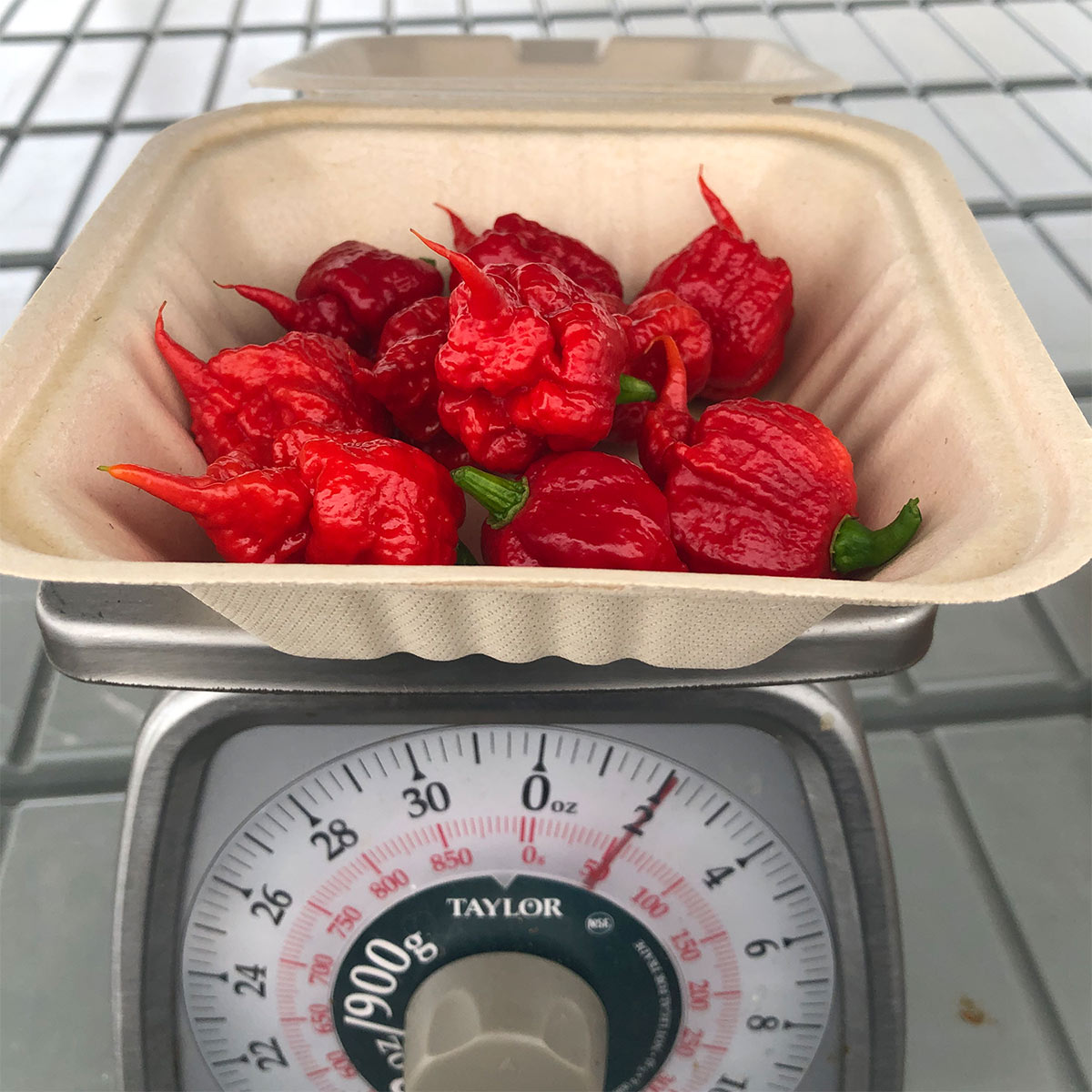 Pepper Joe's carolina reaper peppers for sale