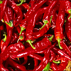 Pepper Joe's Jimmy Nardello's Italian chili seeds - pile of thin, skinny Jimmy Nardello peppers image