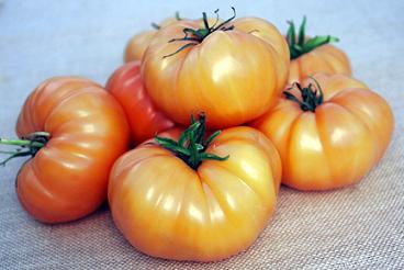 Pepper Joe's Kellogg's Breakfast Tomato seeds