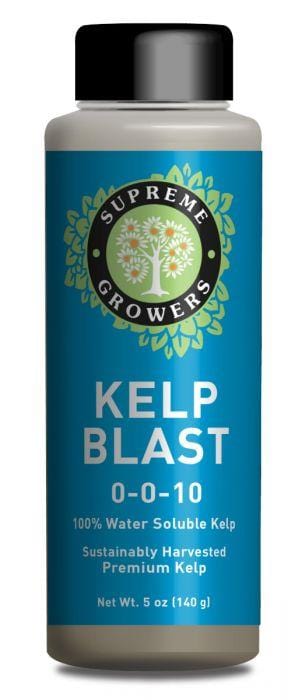 Kelp Blast 5Oz Fertilizer