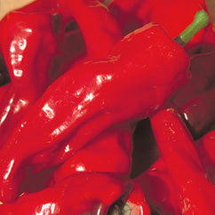 Pepper Joe's Melrose pepper seeds - red melrose peppers pile