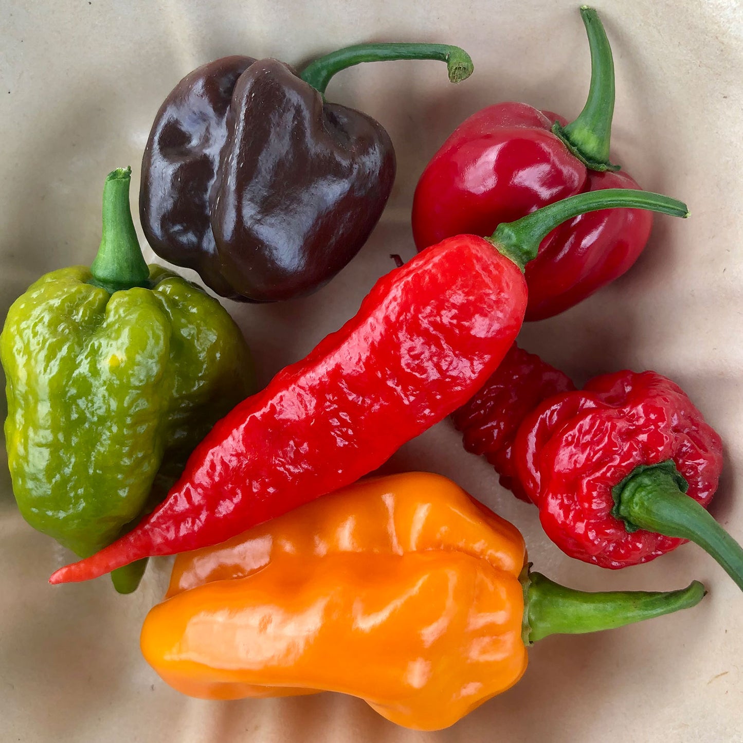 Pepper Joe's peppers pack - hot peppers - for sale - variety of hot peppers on gray background